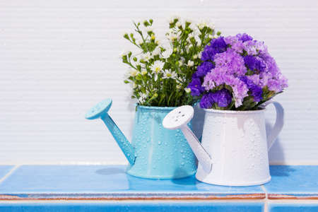 Flowers in watering can decorated in the bathroomの写真素材