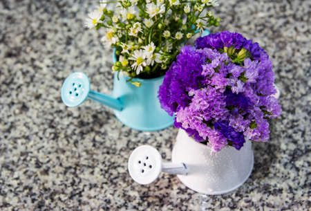Flowers in watering can decorated in the bathroomの写真素材