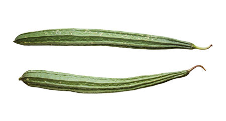 Angled gourd on white backgroud with clipping path