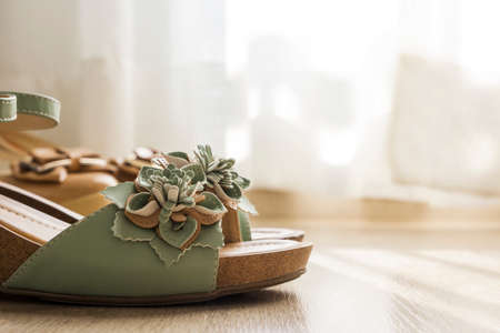 Vintage woman shoes on wooden floorの写真素材