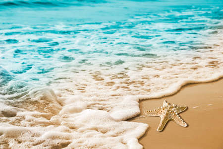 Starfish and soft wave on the sandy beachの写真素材