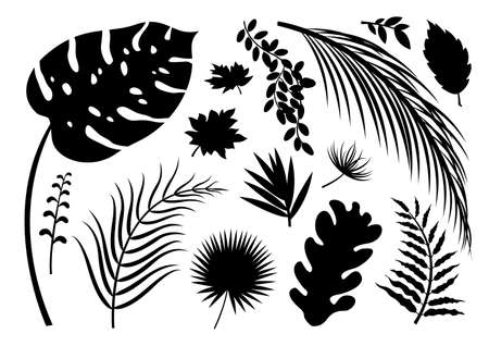 Set of silhouette leaves on white backgroundのイラスト素材
