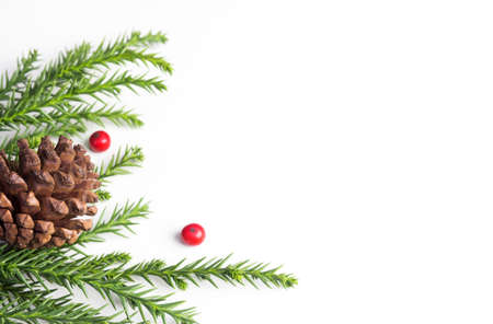 Pine cone and leaves on white backgroundの写真素材