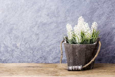 Lavender in the flower pot on old woodの写真素材