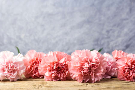 Pink carnation flowers on old wood  with copy spaceの写真素材