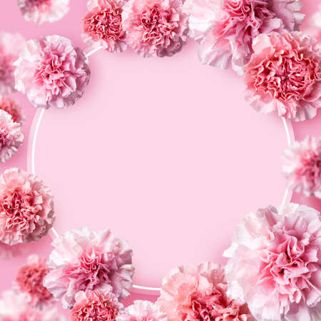 Mother's day concept of pink carnation flowers background with copy spaceの写真素材