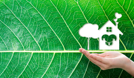 Dream house concept of leaf cut home sweet home and tree shape over woman handの写真素材