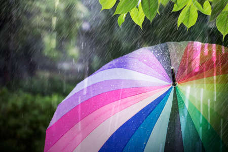 Rain falling and colorful umbrella in rainy dayの写真素材