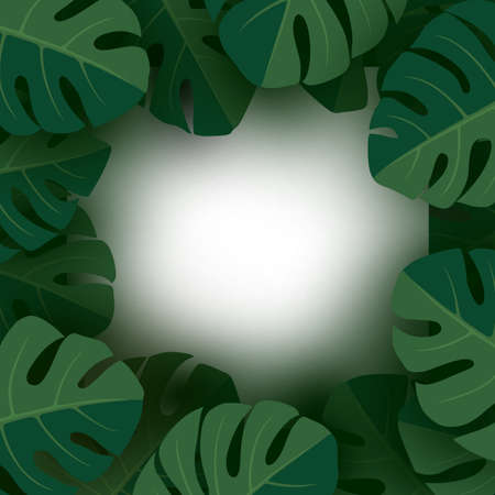 Monstera deliciosa tropical leaves background with copy space vector illustration.のイラスト素材