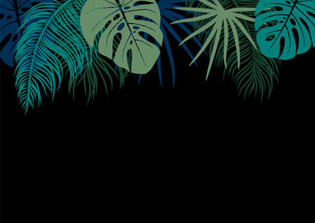 Tropical leaves on black background with copy space vector illustration.のイラスト素材