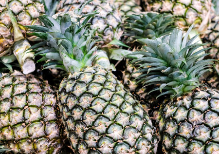 Pineapple texture background