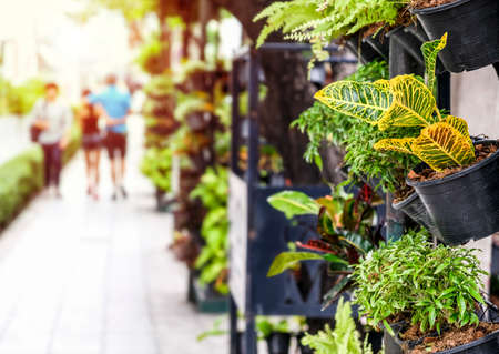 Vertical garden decoration in the cityの写真素材