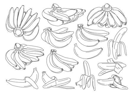 Banana isolated on white background vector illustrationのイラスト素材