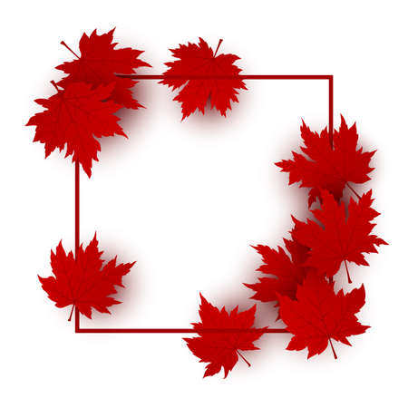 Canada day design of red maple leaves isolated on white background with line frame vector illustrationのイラスト素材