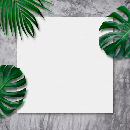 Tropical leaves and blank canvas on cement background