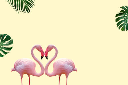 Summer minimal of couple flamingos and tropical leaves isolated on yellow pastel color backgroundの写真素材