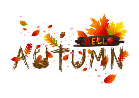 Autumn leaves card design on white background vector illustrationのイラスト素材