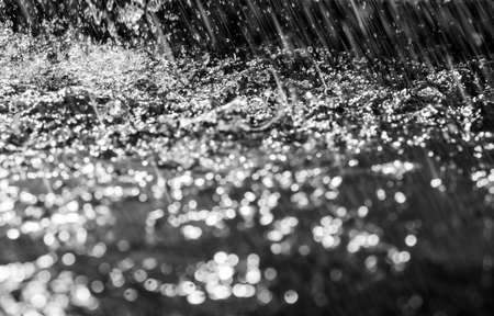 Rain falling background water splashの写真素材