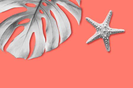 Starfish and monstera tropical leaf on living coral background with copy spaceの写真素材