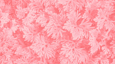 Tree in the garden coral color background