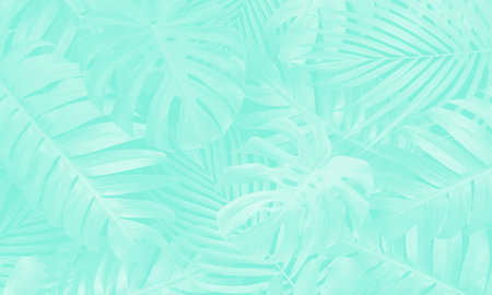 Neo mint color tropical leaves background