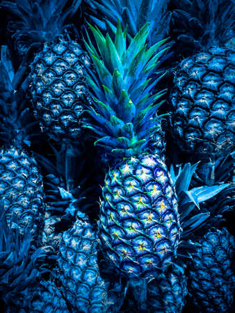 Pineapple texture background tropical fruitの写真素材