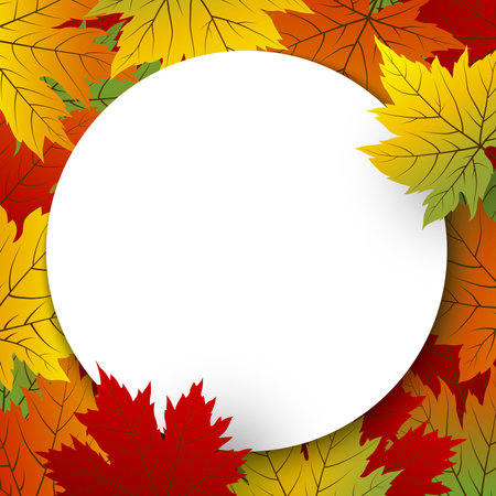 Autumn banner background vector illustrationのイラスト素材