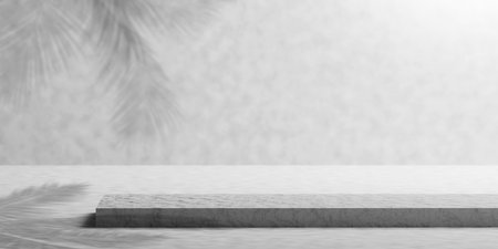 Blank podium with coconut leaves shadow tropical summer 3D renderの写真素材