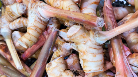 Galanga or Greater galangal pileの写真素材