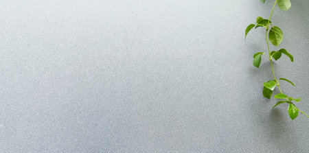 Green leaves on ground glass texture background with copy spaceの写真素材