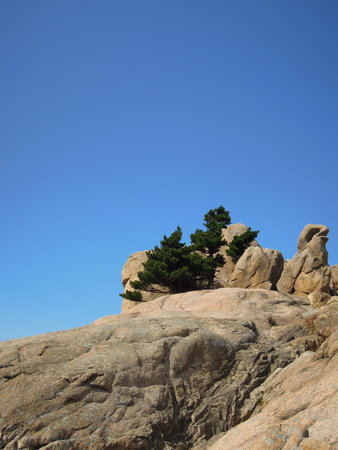 Autumn in Koreaの写真素材