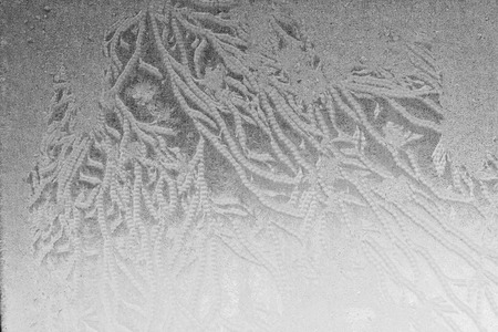Glass covered with ice during the severe frosts in winterの写真素材
