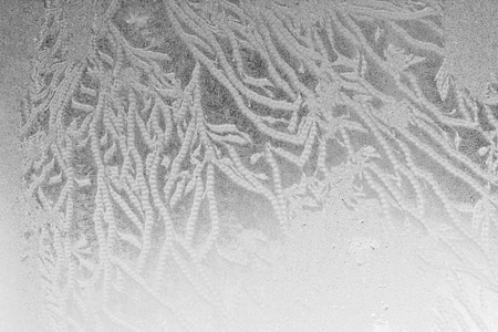 Glass covered with ice during the severe frosts in winterの写真素材