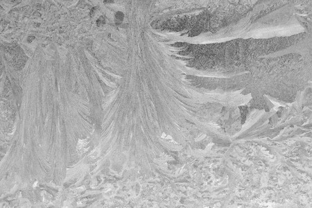 Cat footprint on textured winter background animalの写真素材