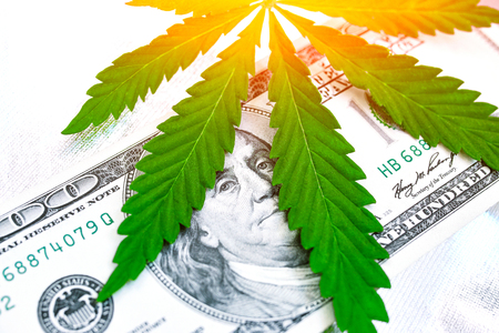 Concept of breaking law in America is spread of drugs. Herbal and marijuana on background of moneyの写真素材