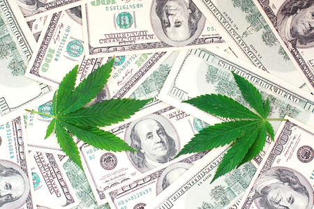 Green cannabis leaf and American money, background image. Thematic photos of hemp and marijuana. Concept of business, medicinesの写真素材