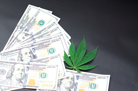 Green cannabis leaf and American money, background image. Thematic photos of hemp and marijuana. Concept of business, medicinesの写真素材