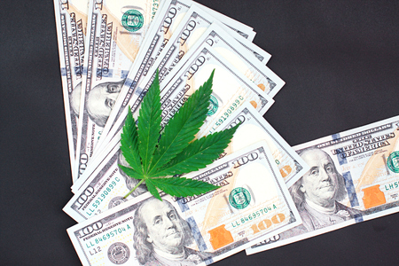 Green cannabis leaf and American money, background image. Thematic photos of hemp and marijuana. Concept of business, medicinesの写真素材