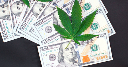Green cannabis leaf and American money, background image. Thematic photos of hemp and marijuana. Concept of business, medicinesの写真素材