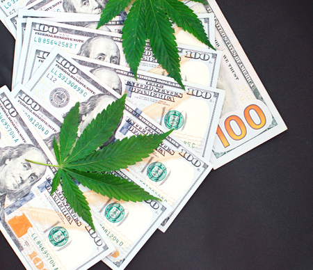 Sheet of marijuana on background of money close-up. Green leaf of cannabis, hempの写真素材