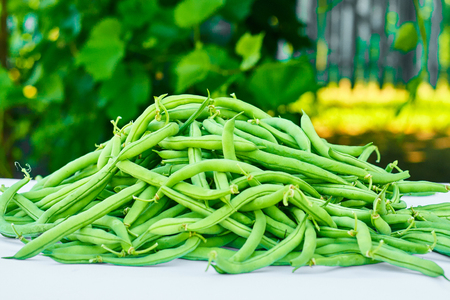 Pile of green beans, photographed on blurred background, natural fresh productの写真素材