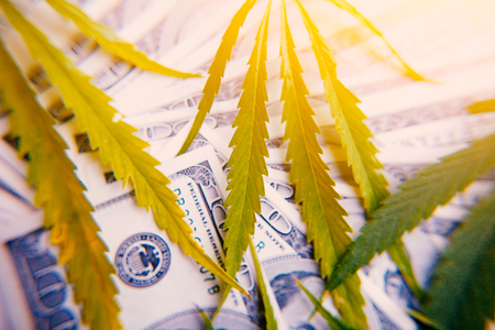 Money with sheet of marijuana close-up on background of one hundred dollars with an artificial ray of light, high quality image. Thematic photos of hemp and cannabisの写真素材