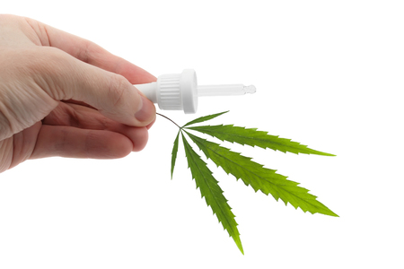 Dropper with CBD Cannabis Oil and Green hemp Leaf in hand isolated on white. Medical marijuana conceptの写真素材