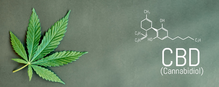 CBD cannabis formula. CBD oil cannabis extract, medical hemp conceptの写真素材