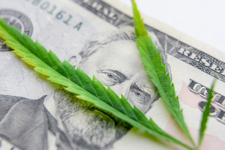US dollar bills over the green cannabis leaves. Money and marijuana. Concept of business, medicine and selling hemp, drugs. Increase revenue and profits in the field of growing medical cannabisの写真素材