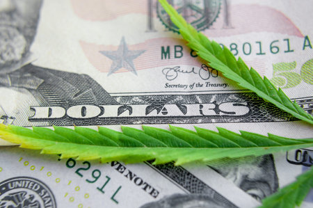 US dollar bills over the green cannabis leaves. Money and marijuana. Concept of business, medicine...