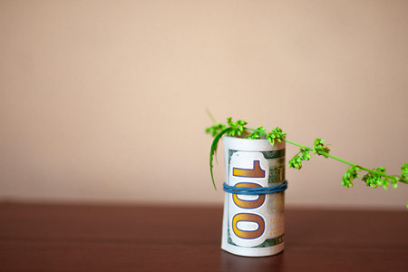 Money and marijuana. Concept of green plant grow CBD hemp. Sheet of cannabis sticks out of a...