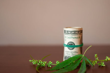 Cannabis with seeds and dollars in money tied with a rubber band.The concept of the production of...