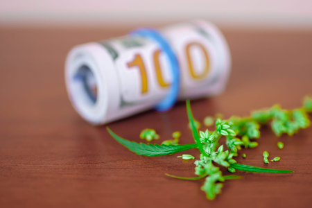 Cannabis with seeds and dollars in money tied with a rubber band.The concept of the production of...