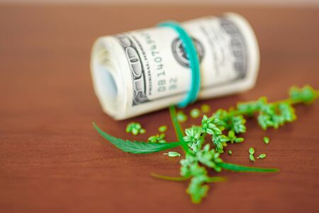 Cannabis CBD with seeds and dollars in money tied with a rubber band. Concept of the production of marijuana products and businesses. CBD hemp oil from natural cannabisの写真素材